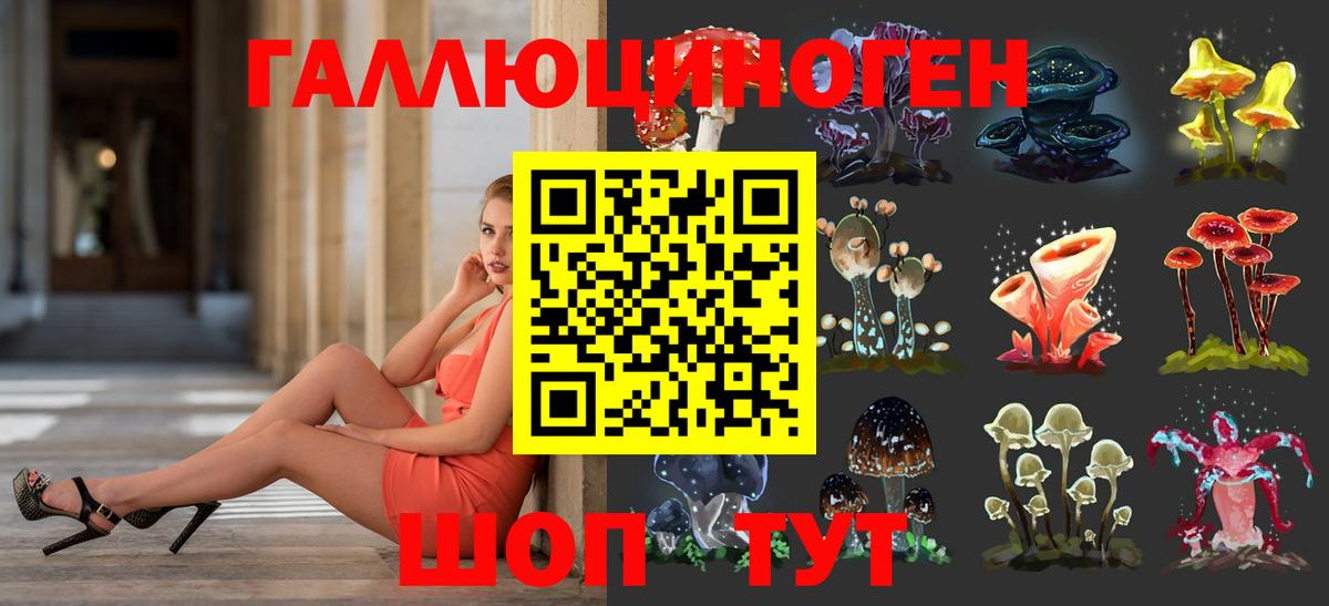 Галлюциногенные грибы GOLDEN TEACHER Благовещенск